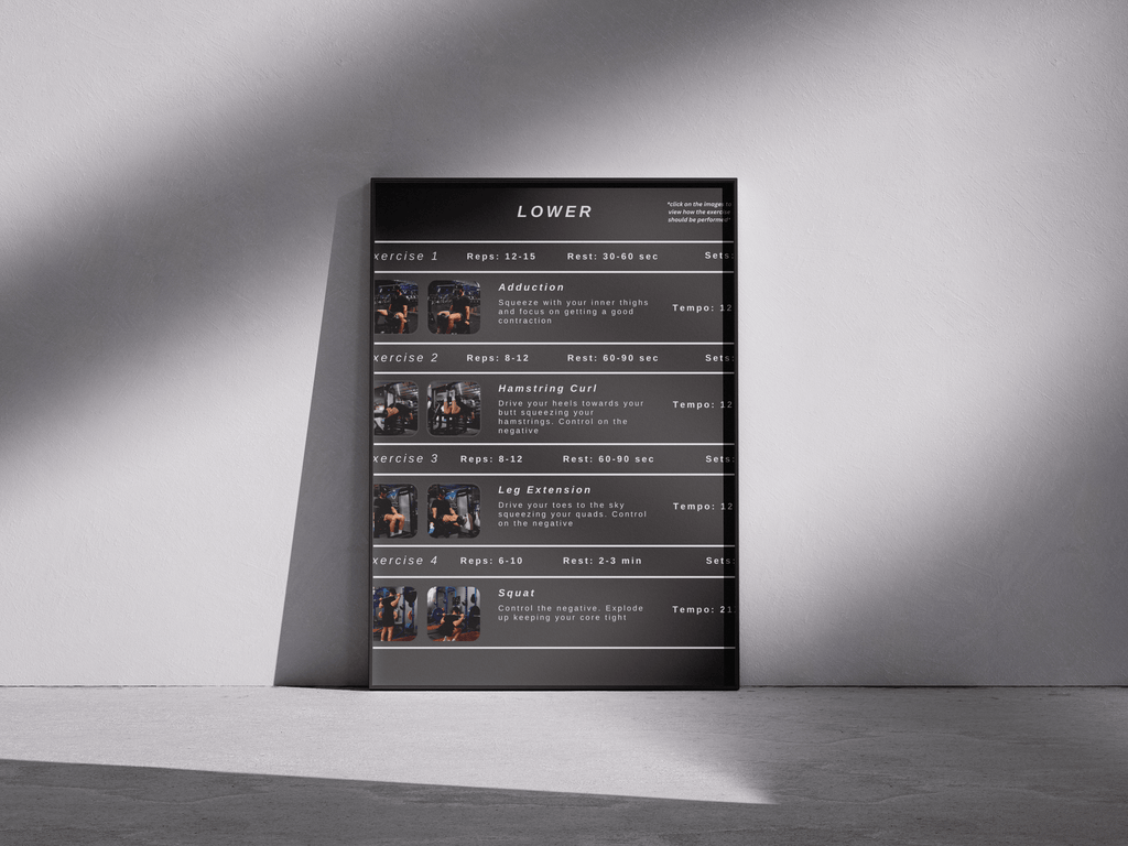 Beginner Training Program